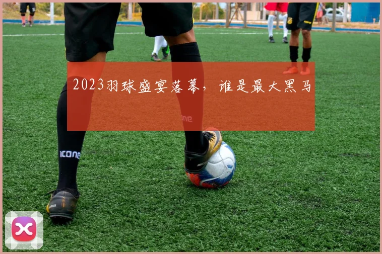 2023羽球盛宴落幕,谁是最大黑马